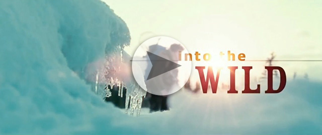 Into The Wild